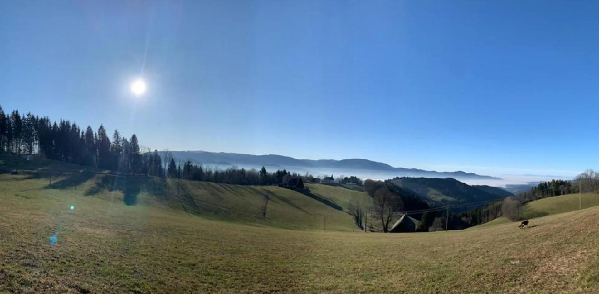 Ferienwohnung Sonnenblume Halblech